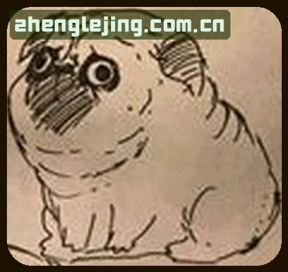 赵敏